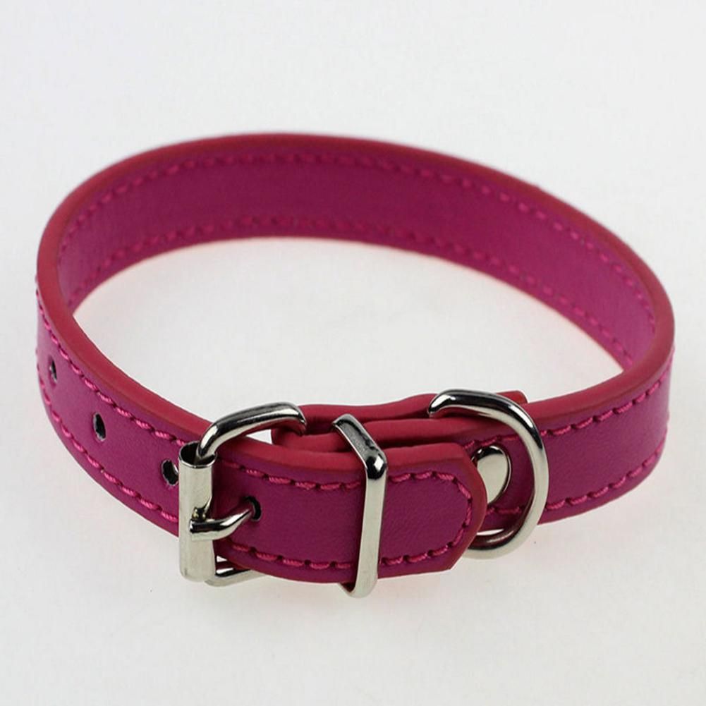 cat neck belt online