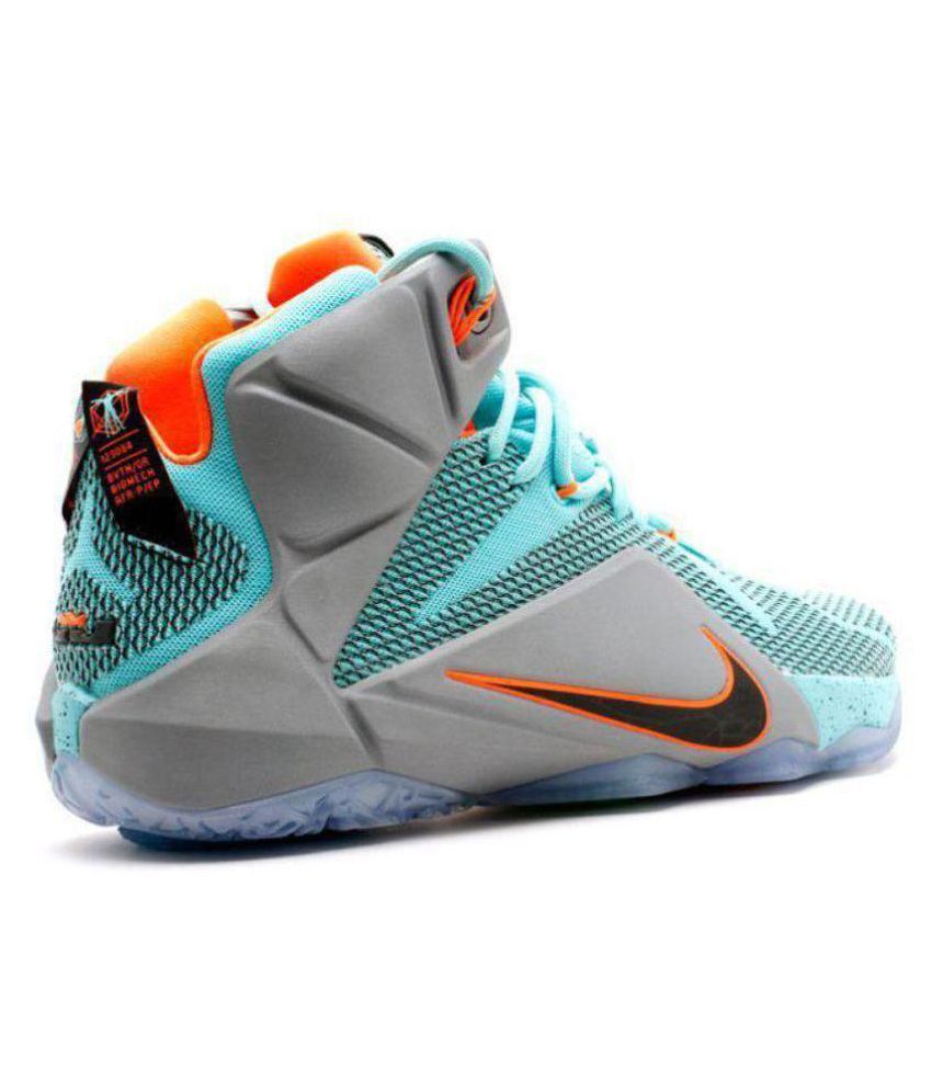 nike lebron 12 nsrl multicolor basketball shoes