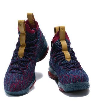 lebron multicolor 15