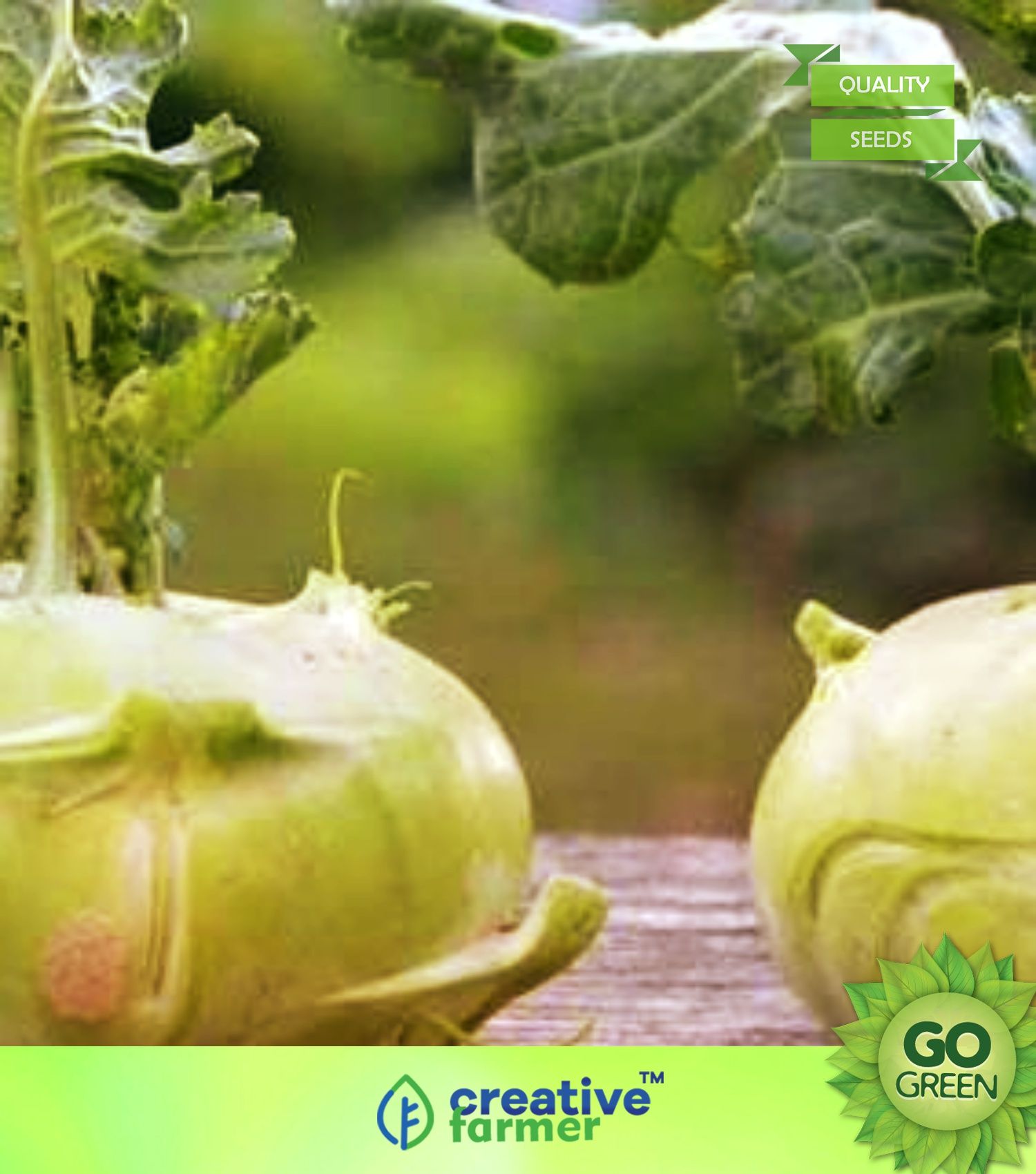 Vegetable Seeds Stem Turnip Seeds Kohlrabi Seeds Seeds For Gardening