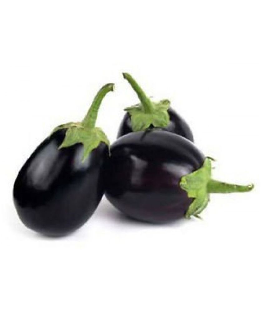 Vegetable Seeds Cluster Brinjal Seeds Brinjal Cluster