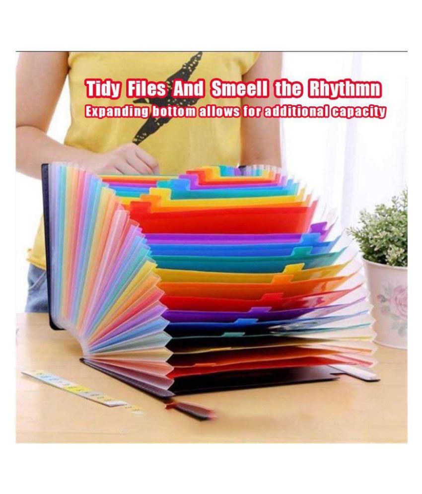 TECHTEST Expanding Files Folder for A4 Document Buy Online at Best