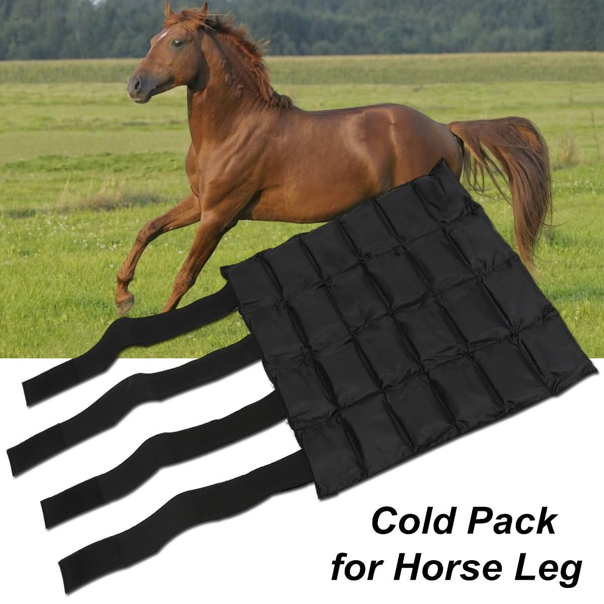 horse ice pack