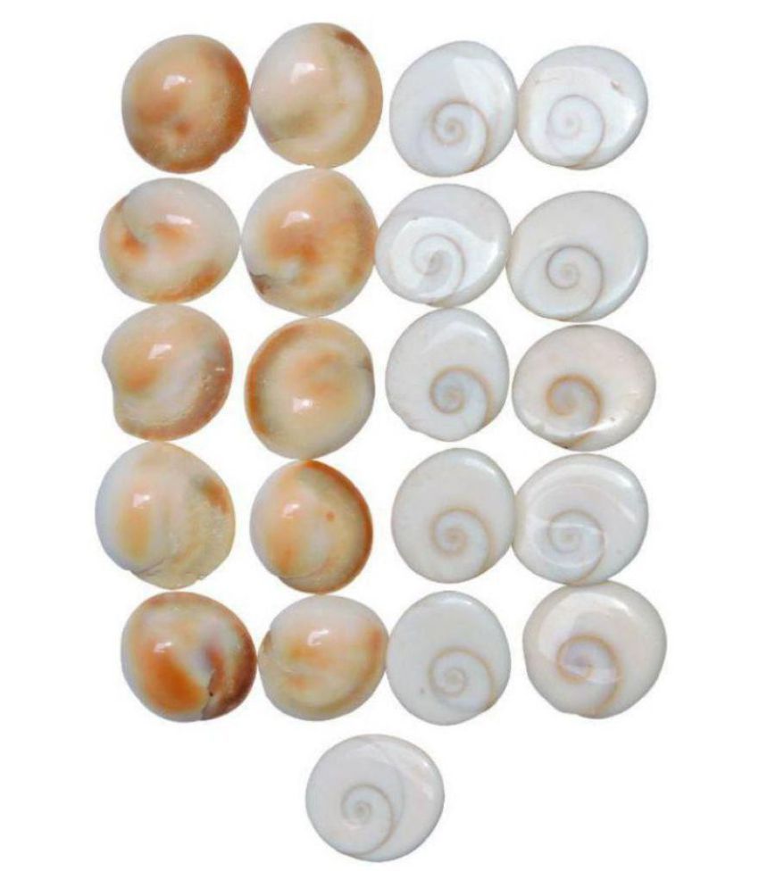     			Gomti Chakra 21pcs