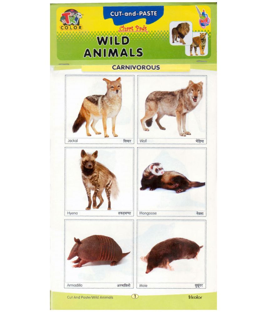 Cut N Paste Chart Pads Wild Animals Buy Cut N Paste Chart Pads Wild Animals Online At Low Price In India On Snapdeal