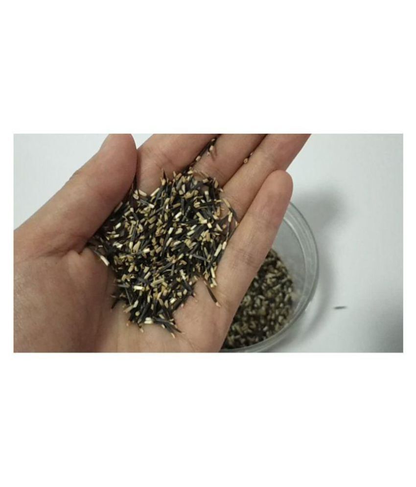 Puspita_Nursery Kolkata Marigold Flower Seed Yellow Color African