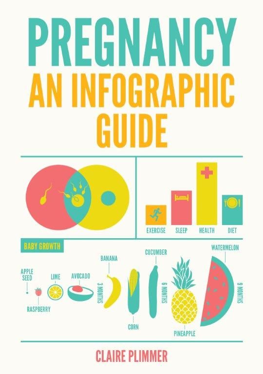     			Pregnancy An Infographic Gude