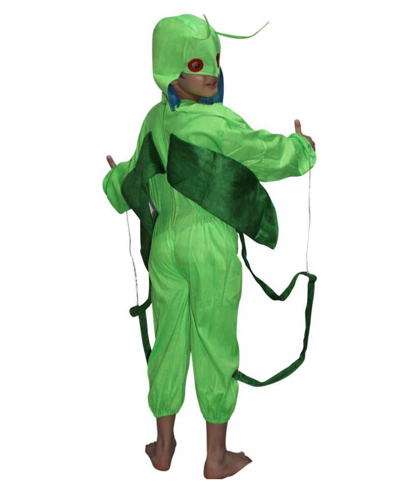 Insect fancy dress adults Clearance