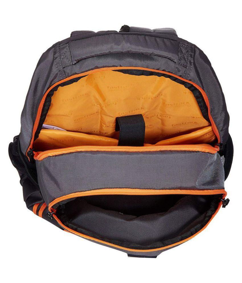 Fastrack Greay A0705NGY01 Backpack Buy Fastrack Greay A0705NGY01