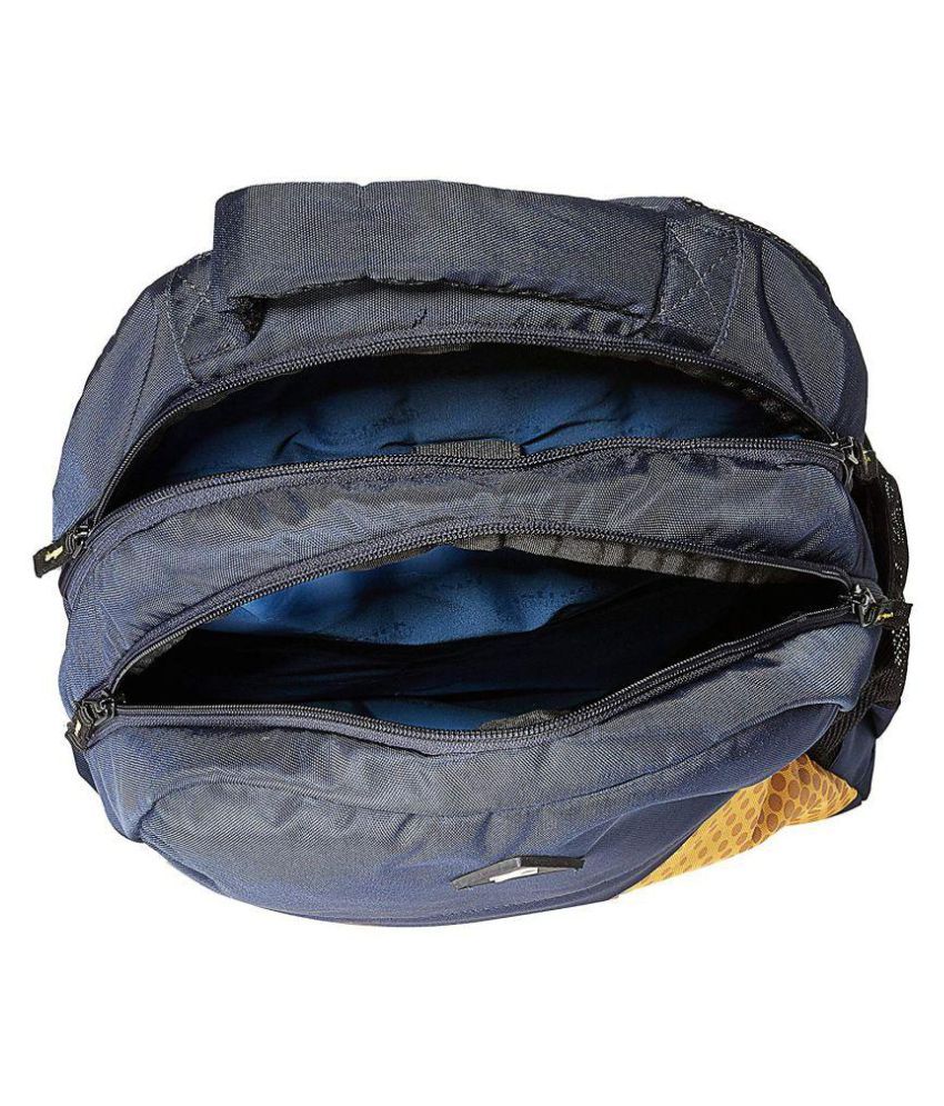 fastrack blue backpack