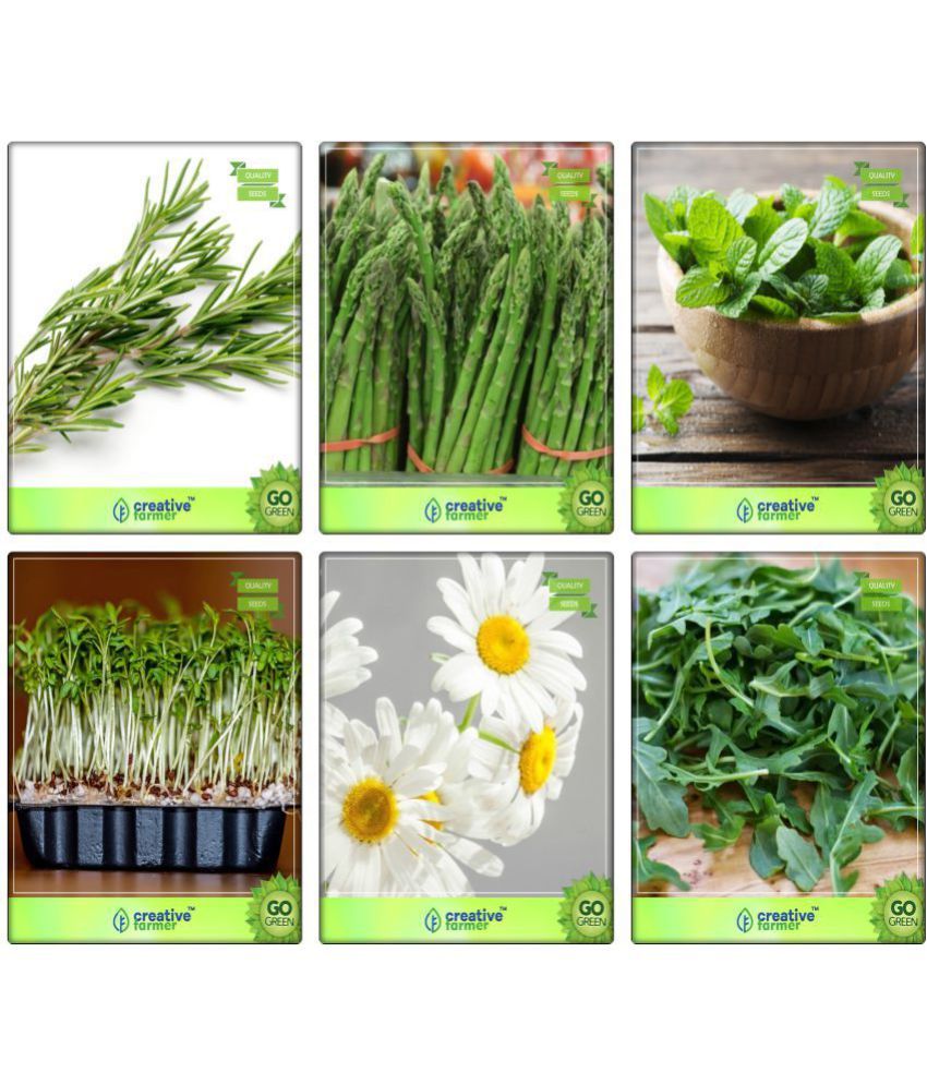 Herbal Plant Seeds Combo Rosemary, Asparagus, Mint, Cress Common