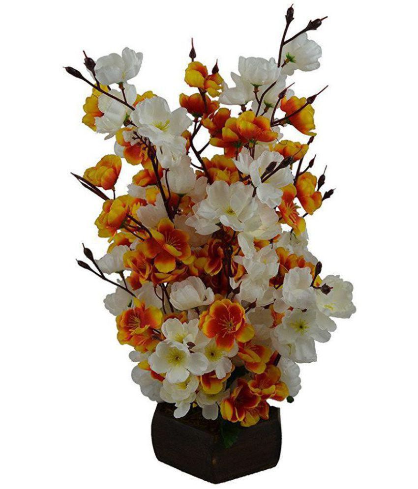     			Kaykon Orchids Multicolour Flowers With Pot - Pack of 1
