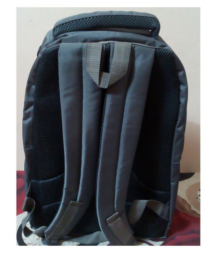 skybags grey colour