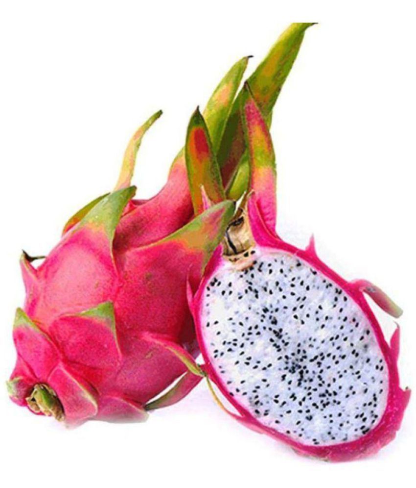 VPN Live Dragon FruitAjagar Phal Healthy Fruit &amp; Fruit