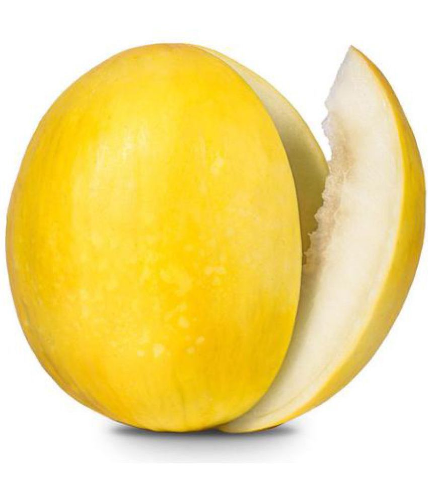 Yellow Melon Seeds, Cantaloupe Muskmelon Seeds, Kharbuja Seeds Pack Of
