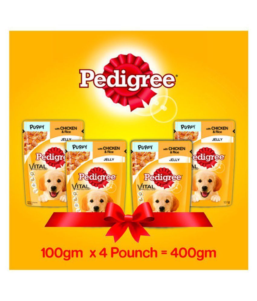 Pedigree Gravy Puppy Chicken&Rice in Jelly 100g,Pack of 4 Dry Chicken