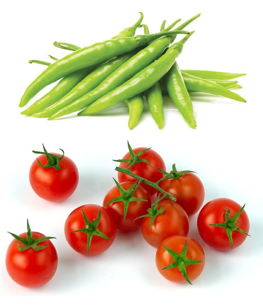     			Vegetable seeds Green Chilli and Tomato Best Quality Premium seeds
