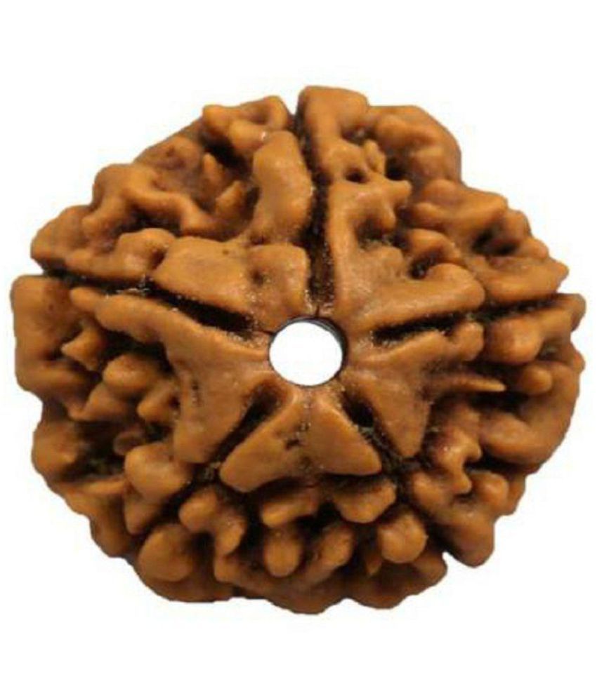     			5 Mukhi Nepali Rudraksha Lab Certified