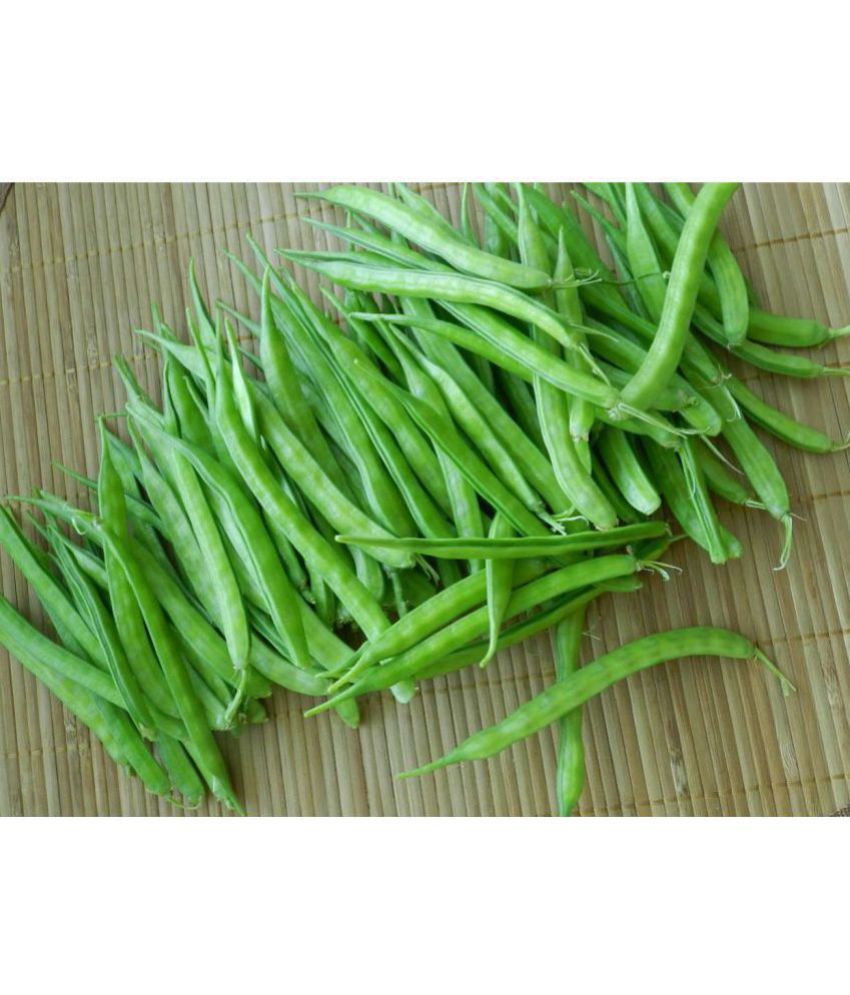     			OhhSome Cluster Bean Guar For Terrace Vegetable Seeds