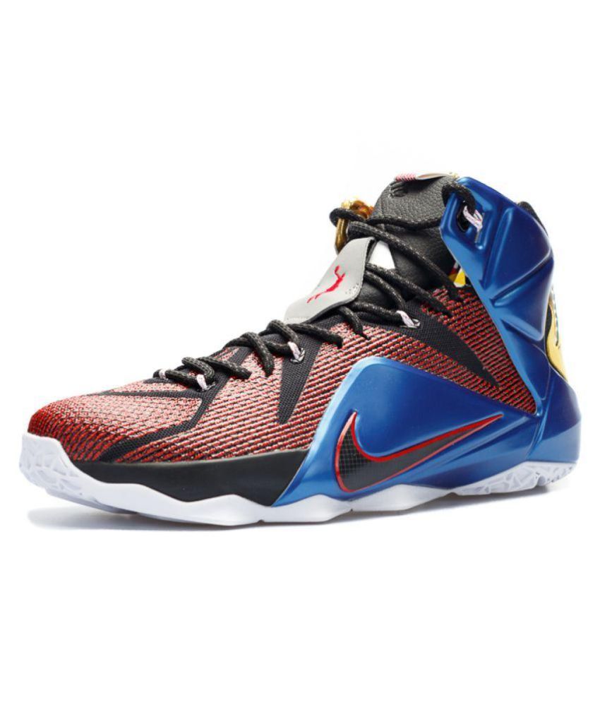 lebron 12 se