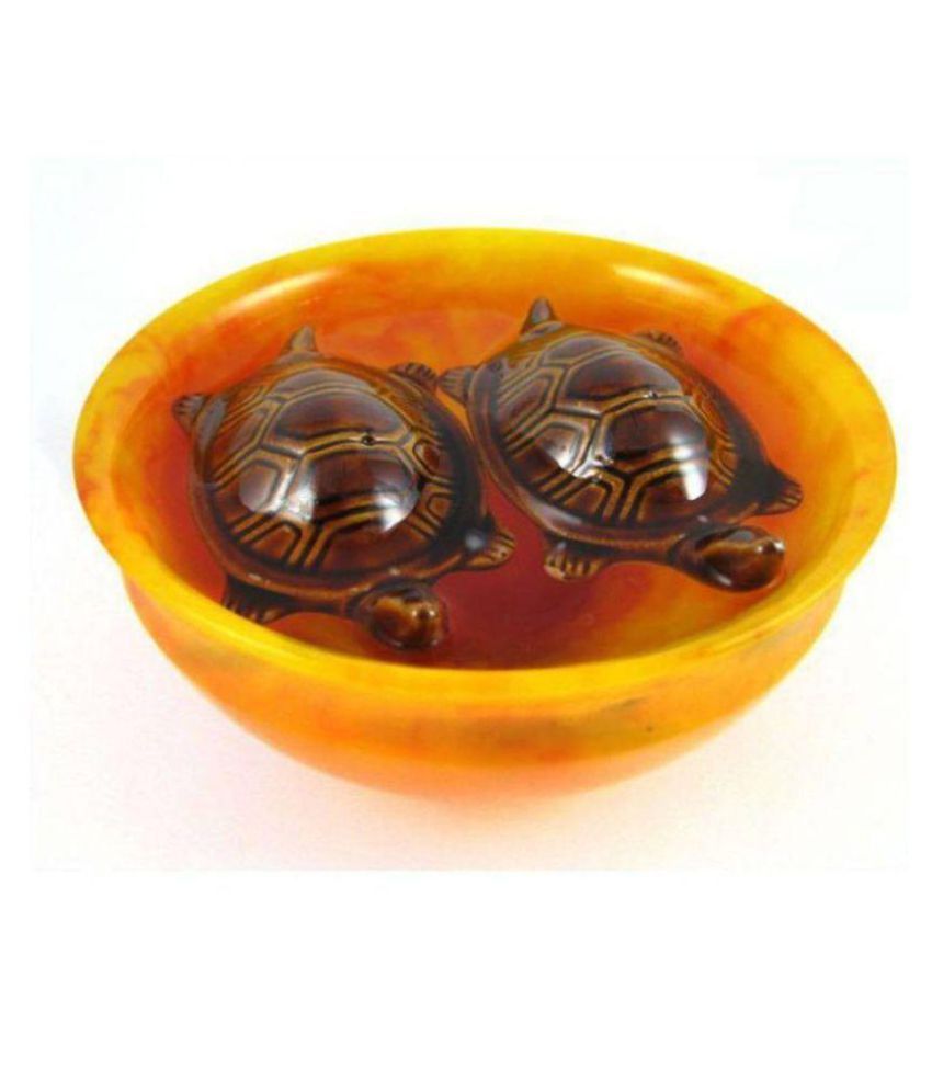     			DD1 Feng Shui Floating Tortoise In Bowl