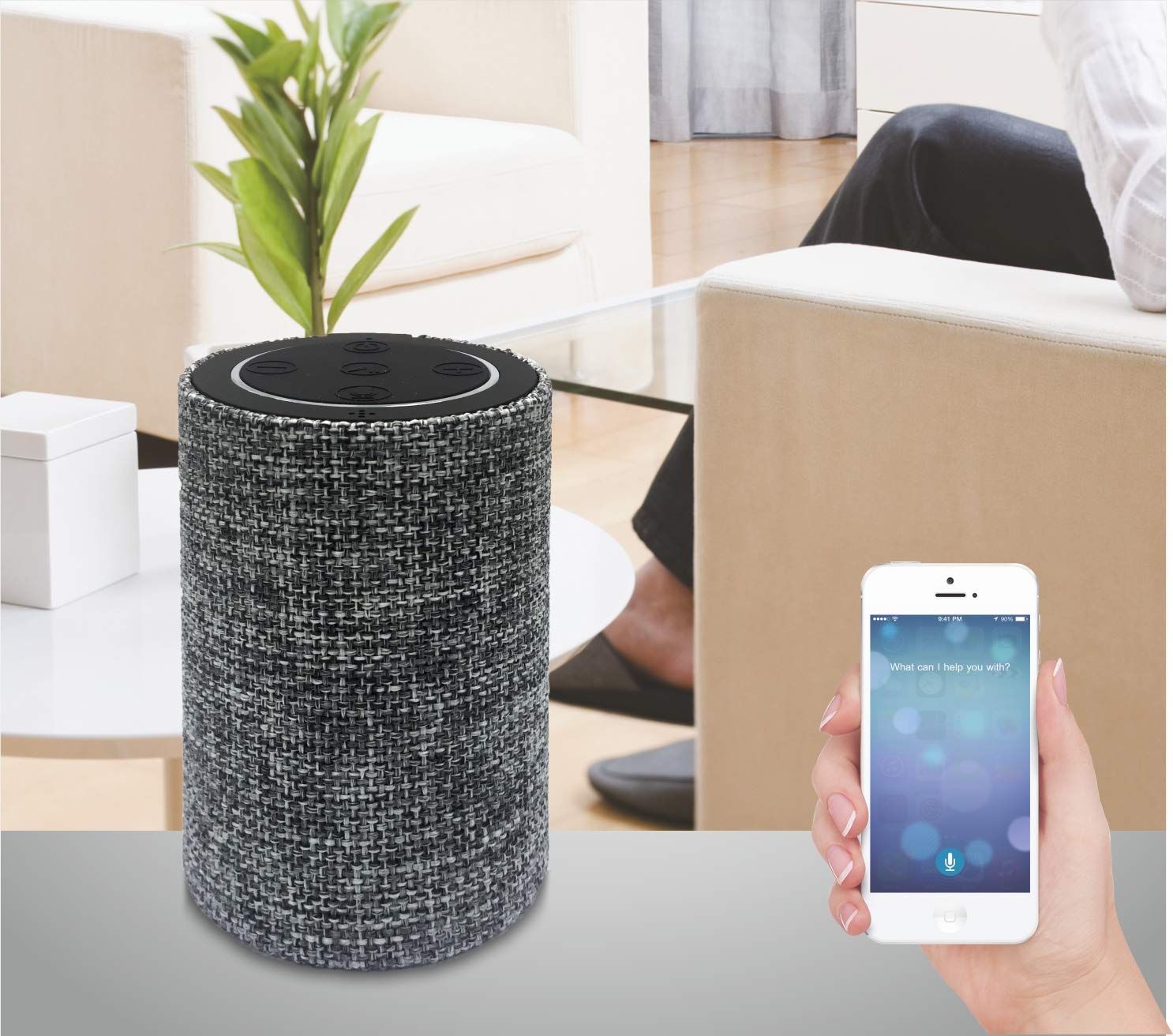 xech voice assist speaker