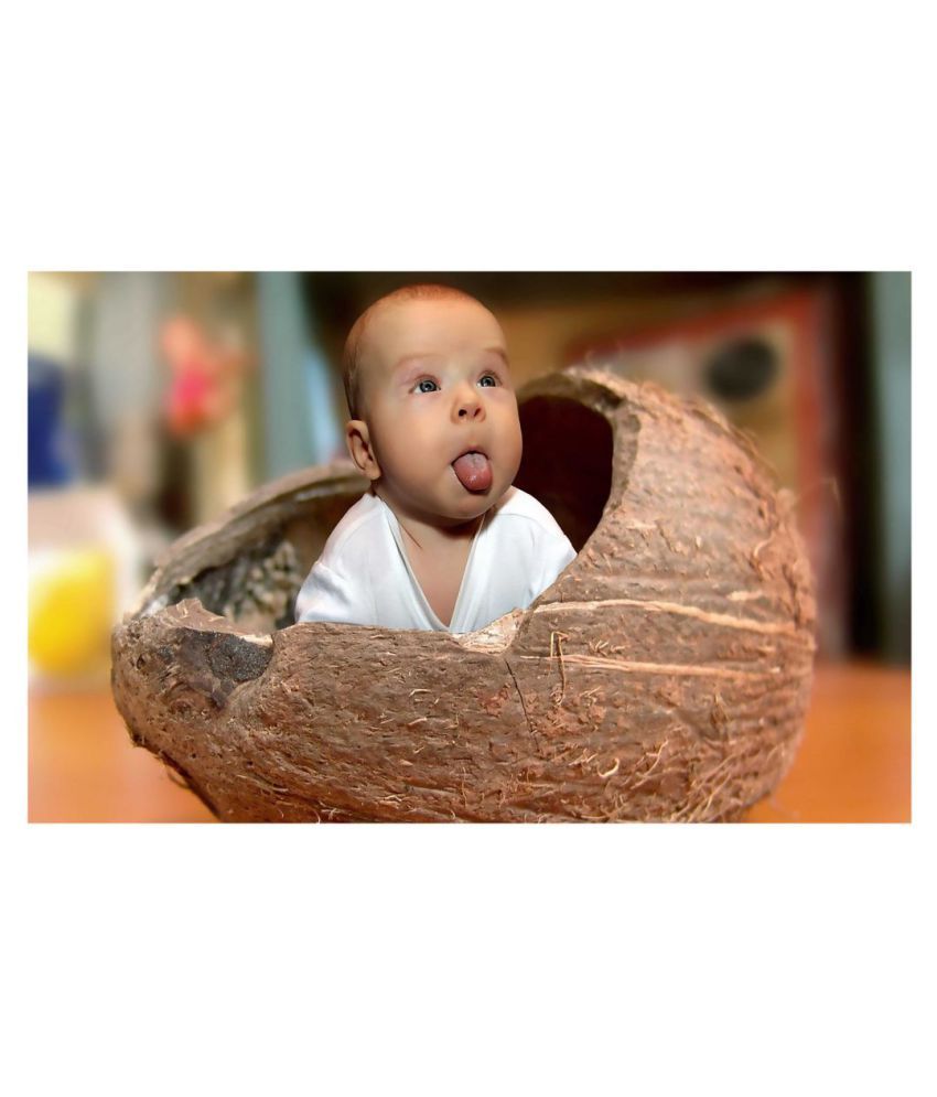 HK PRINTS Funny Wall Sticker for Room Nature Sticker ( 45 x 30 cms ) Buy HK PRINTS Funny Wall