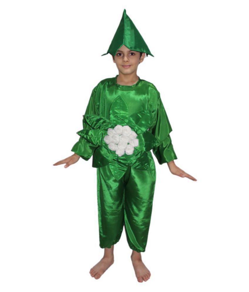 Kaku Fancy Dresses Green Cauliflower Costume - Buy Kaku Fancy Dresses ...