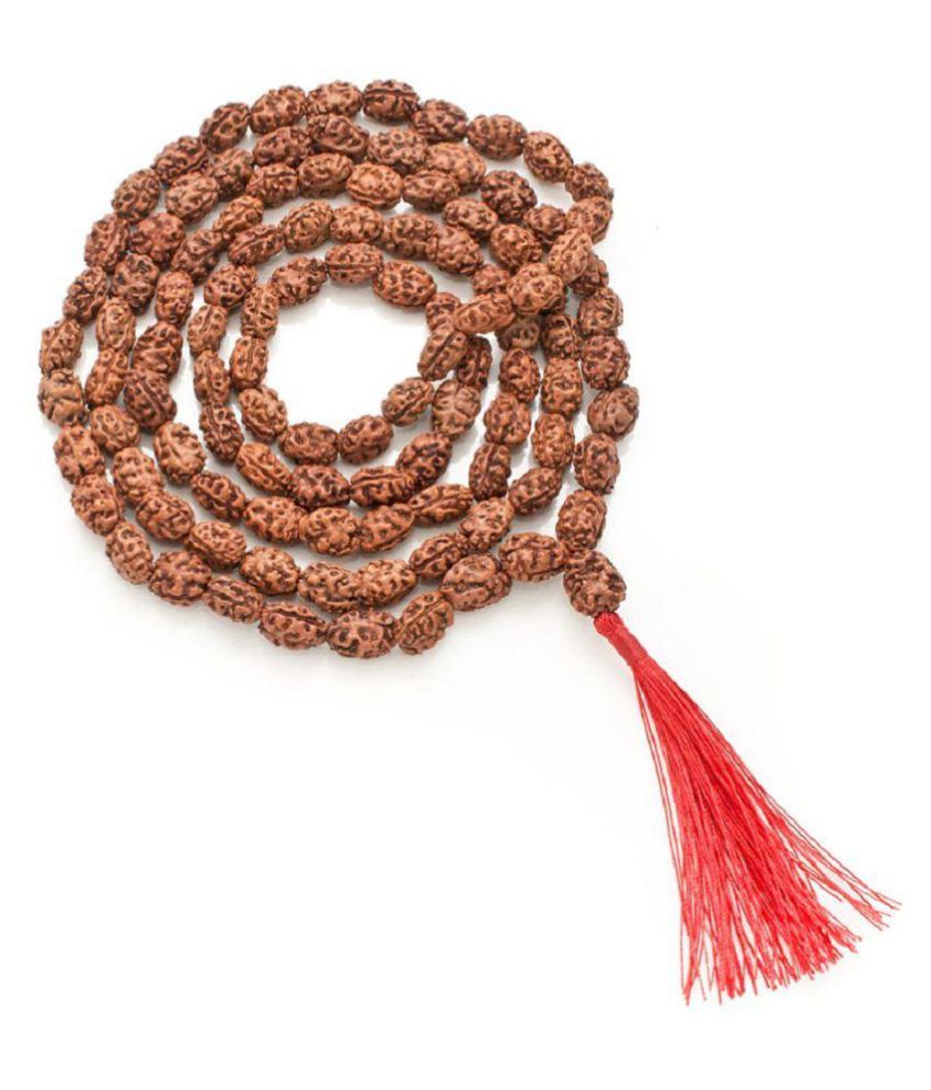     			2 Mukhi Rudraksha Mala 54+1 Beads Wood Necklace