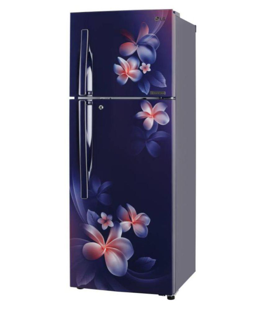 Lg 260 Ltr 4 Star Gl T292rbpn Double Door Refrigerator Blue Price In India Buy Lg 260 Ltr 4 Star Gl T292rbpn Double Door Refrigerator Blue Online On Snapdeal