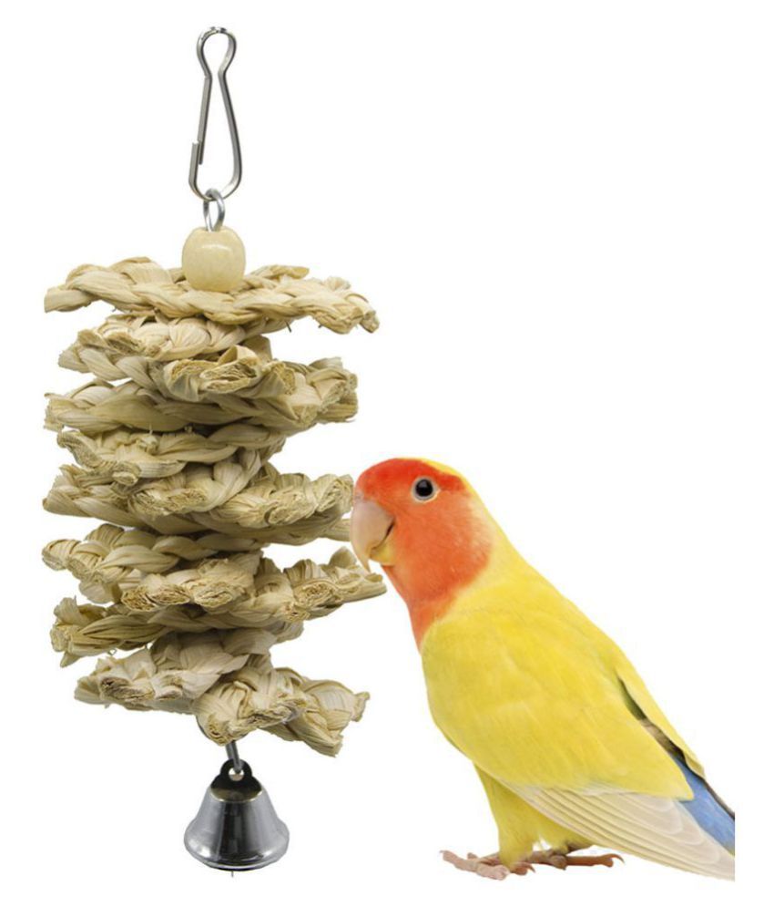 parrot supplies online