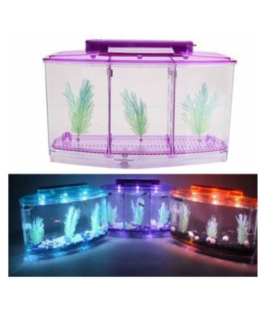 Triple Betta tank Triple Divider Rectangle Aquarium Tank Buy Triple