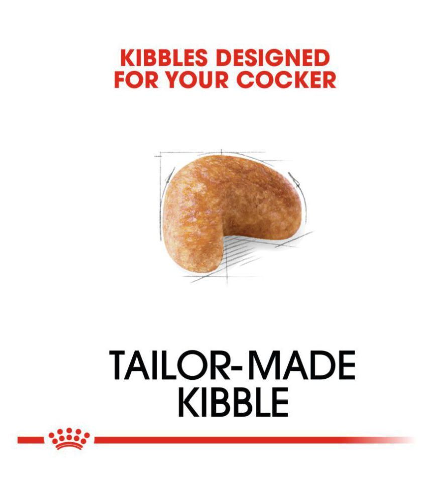 royal canin adult cocker