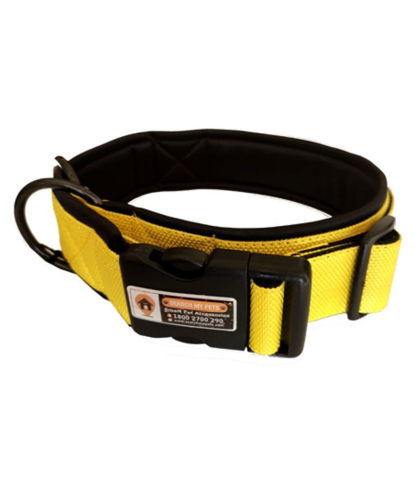 dog collar belt online