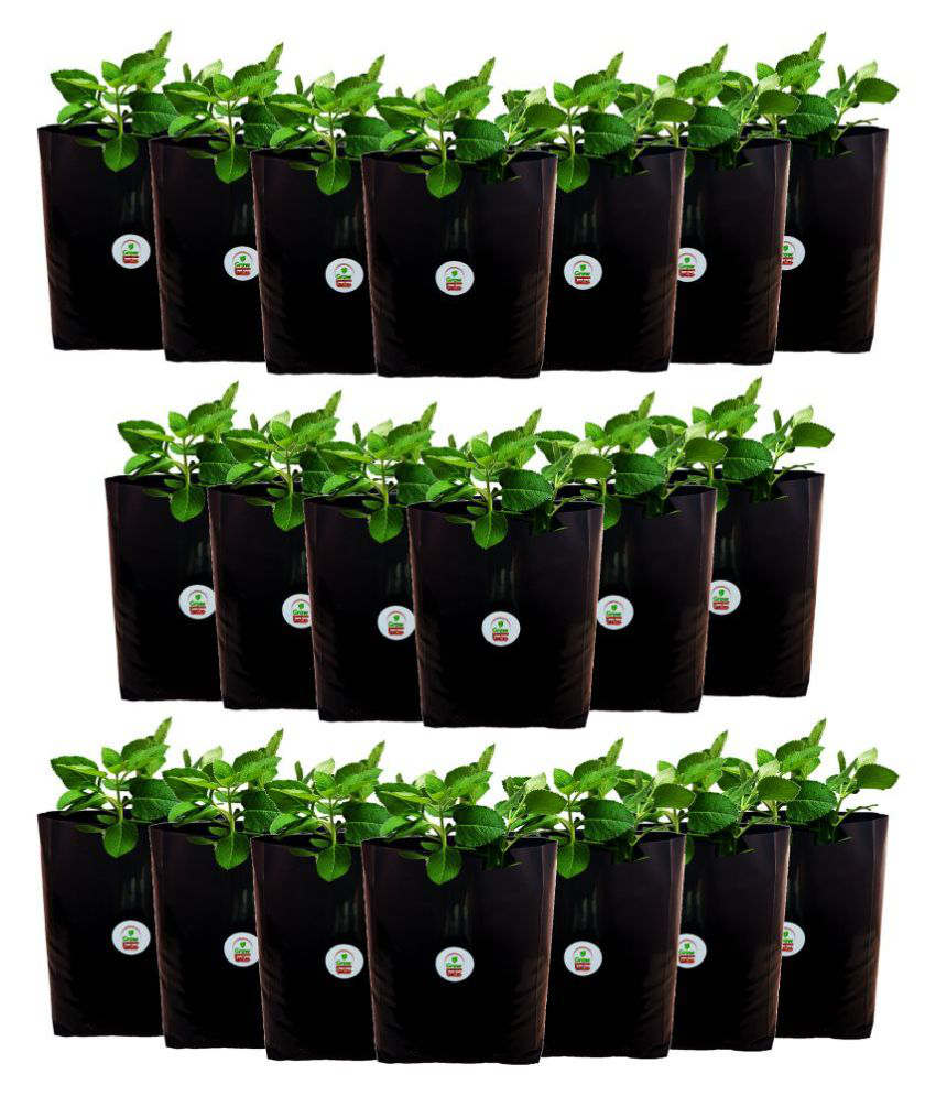     			Grow bag for home gardening High Quality 150 Micron/600 Gauge | Pack of 20 Bags; Size: 30 x 16 x 16 cm