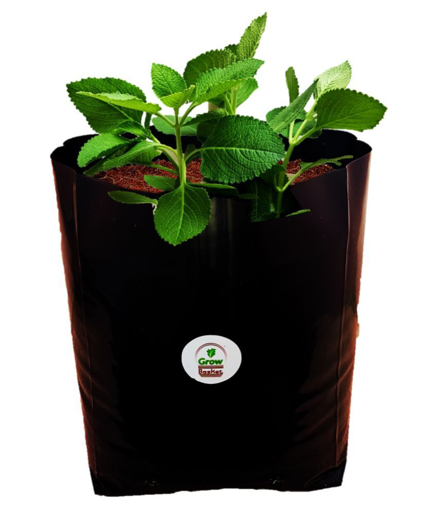 Buy Grow bag for home gardening High Quality 150 Micron/600 Gauge