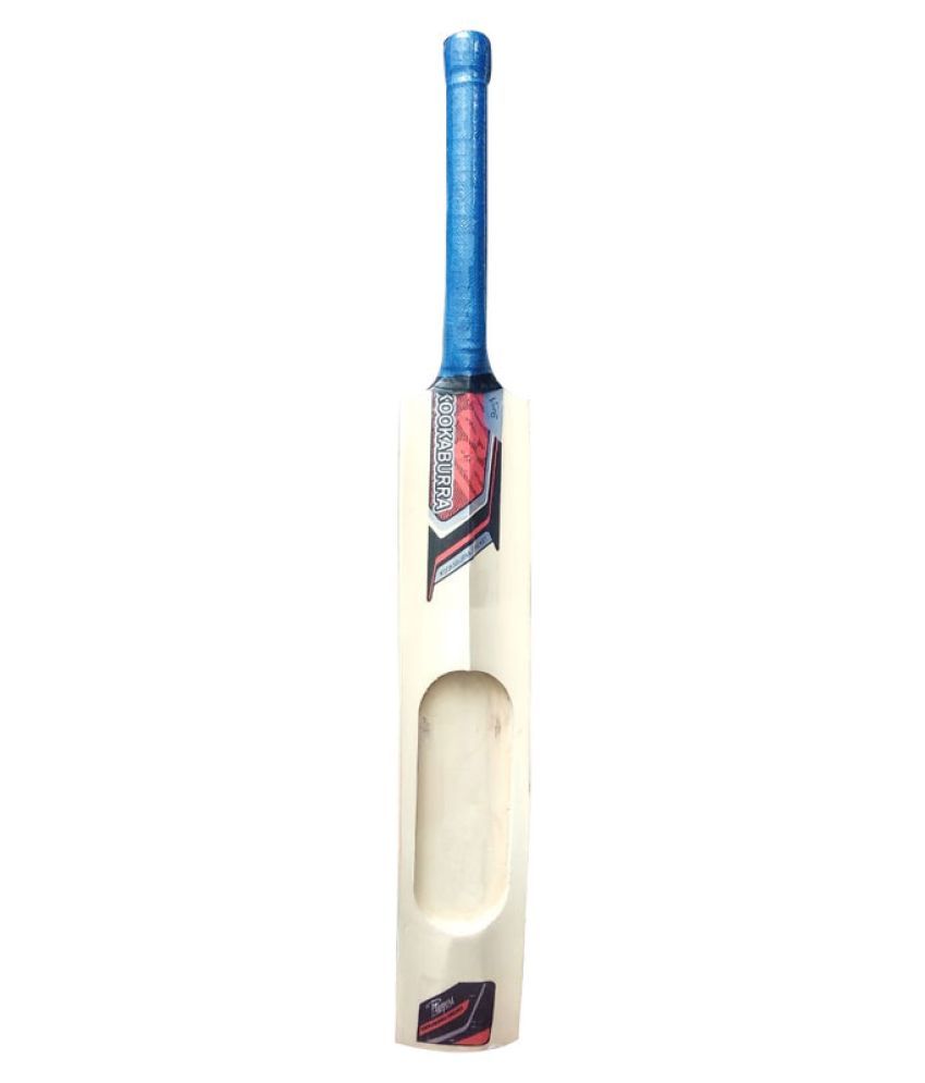 Cricket Bat Buy Online At Best Price On Snapdeal