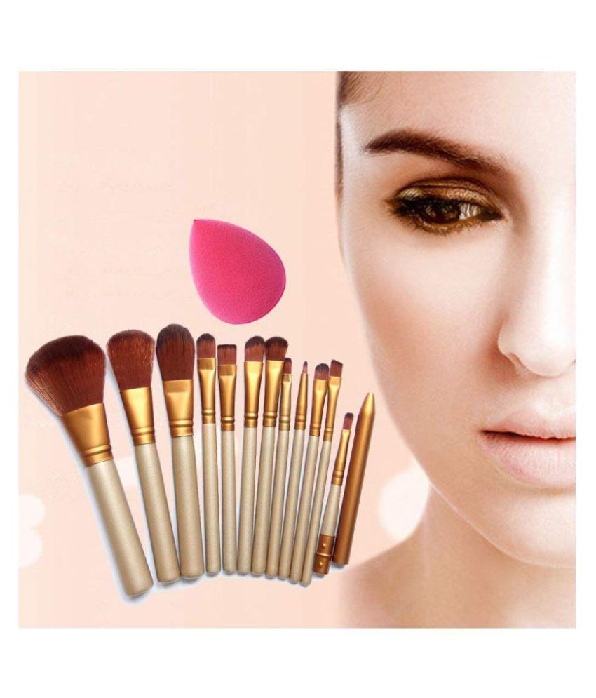 SkinPlus Makeup Brush with Makeup Sponge Synthetic Foundation Brush