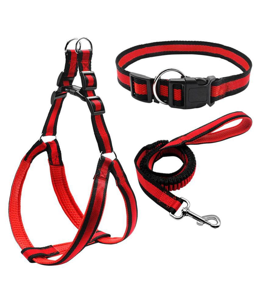 puppy collar and leash set