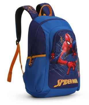 avengers skybags