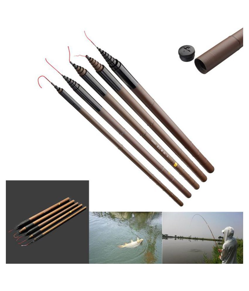 carp fishing pole