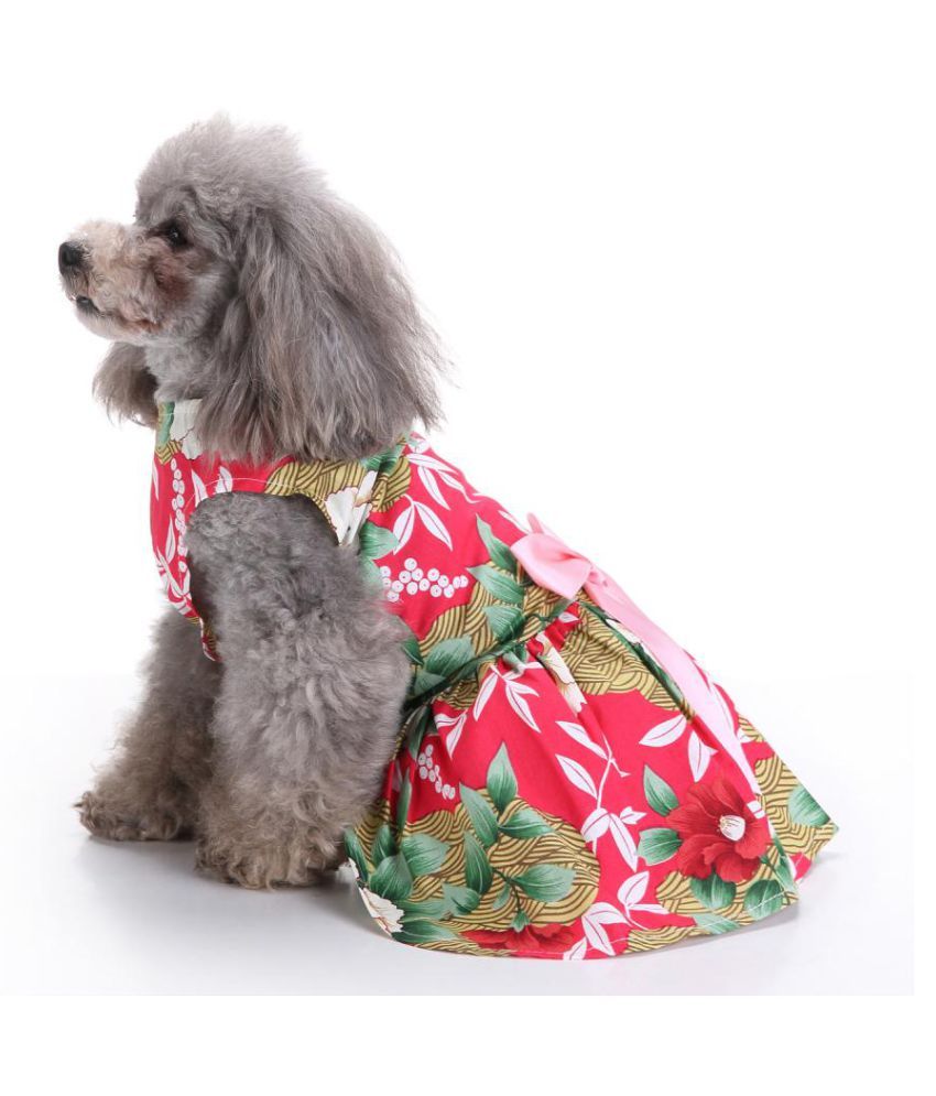 dog sundress