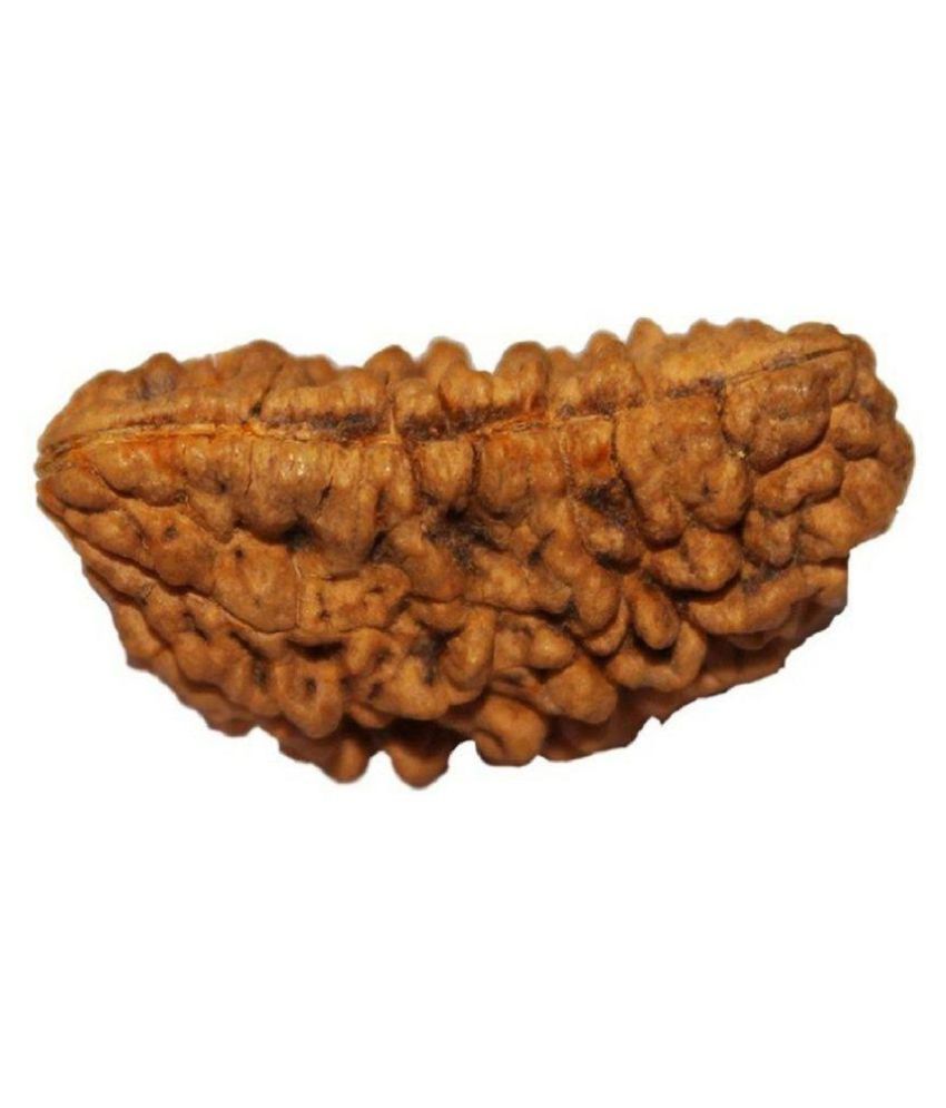     			Shivoham 1 Mukhi Rudraksha 1 Face Rudraksha Wood Pendant