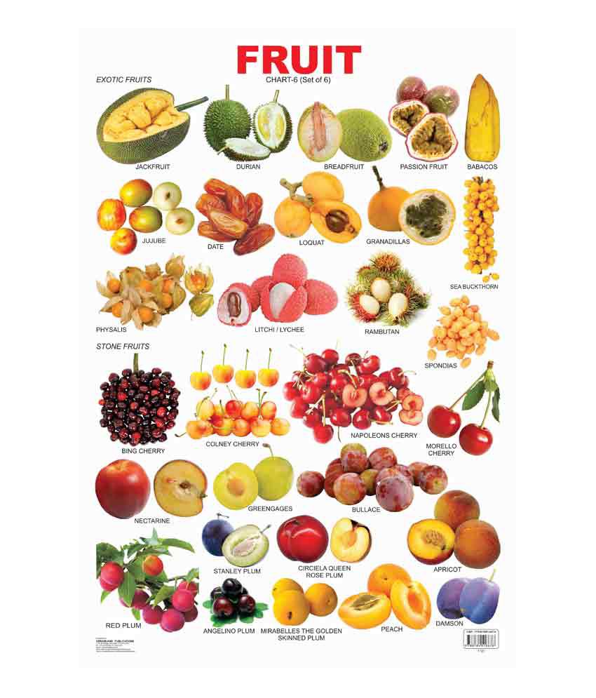 Fruit Chart - 6 (Laminated Chart) (Size: 48cm x 73cm): Buy Fruit Chart ...