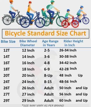 roadeo cycle 29