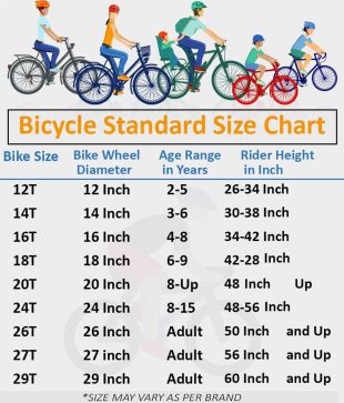 street racer cycle price
