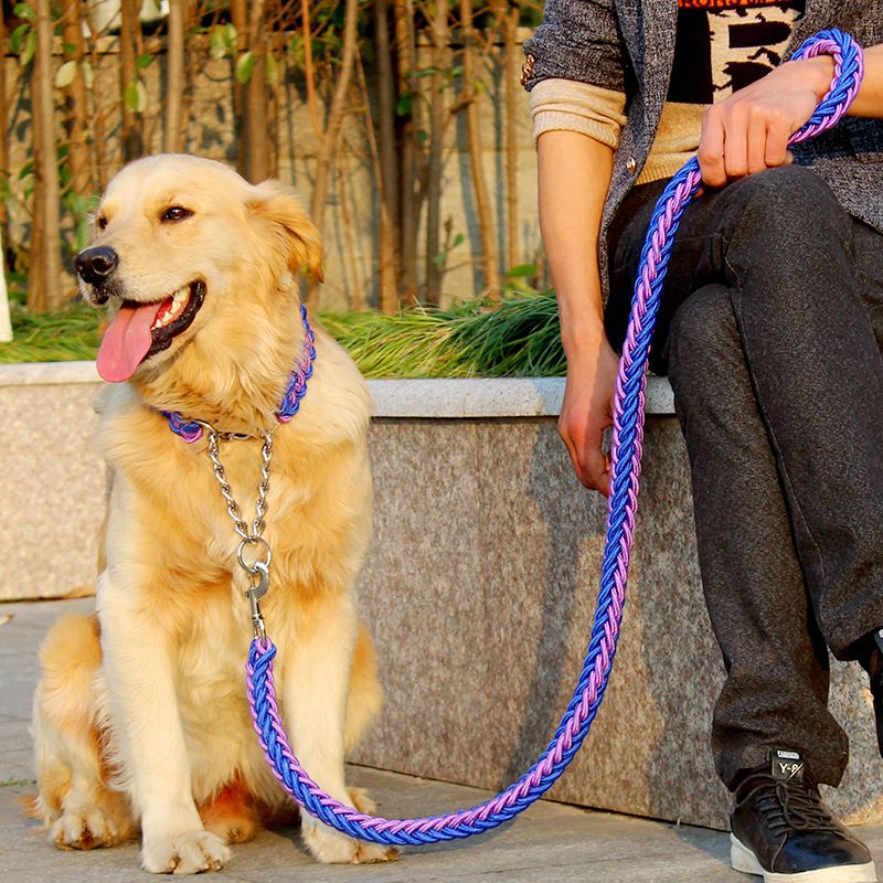 chain pet leash