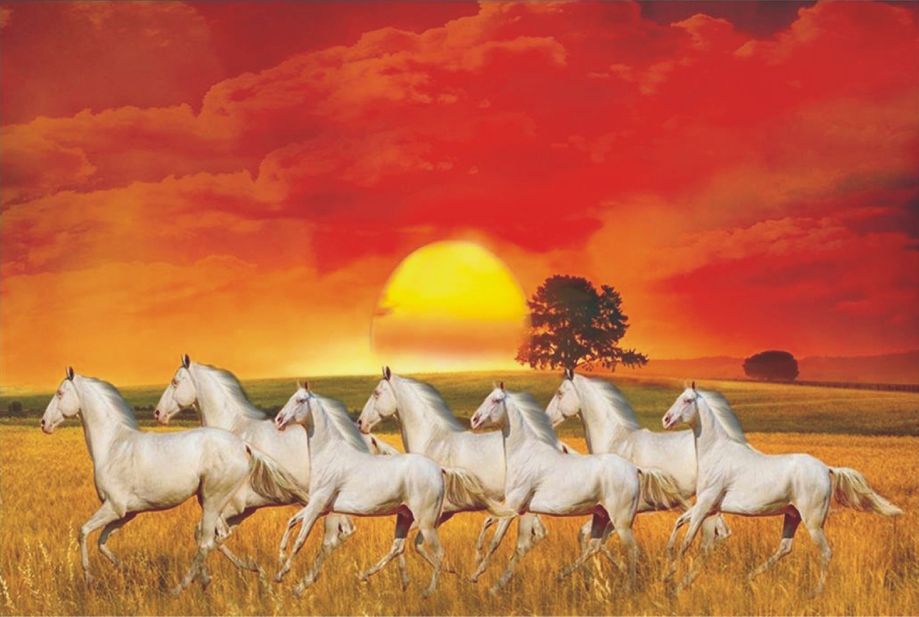Yellow Alley Seven Running Horses  White Horses  Poster 