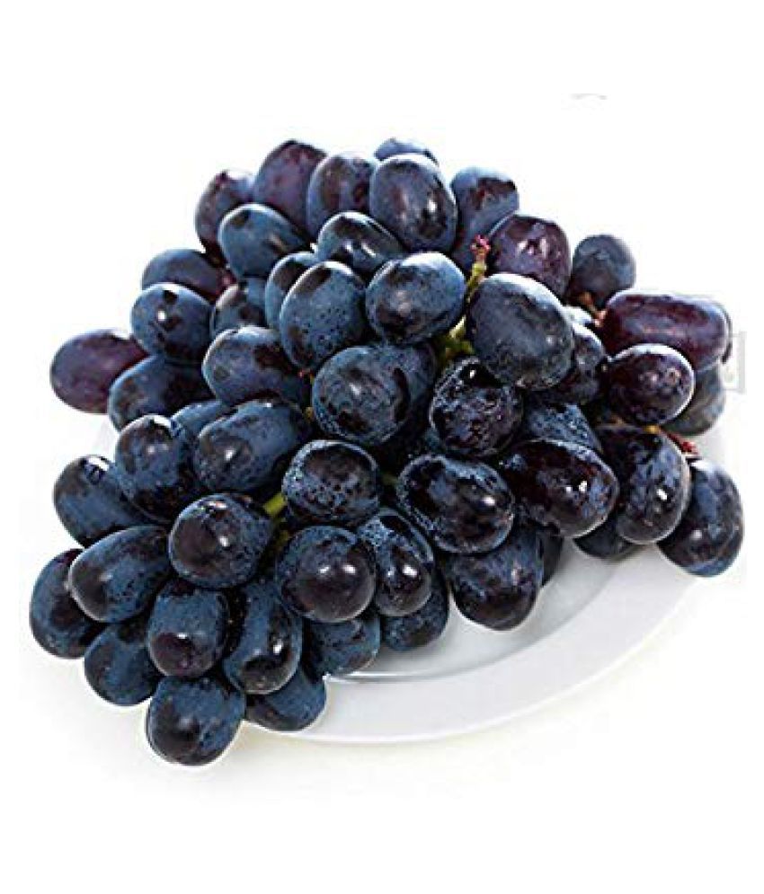     			Nema Black Grape Seeds - 50Pcs