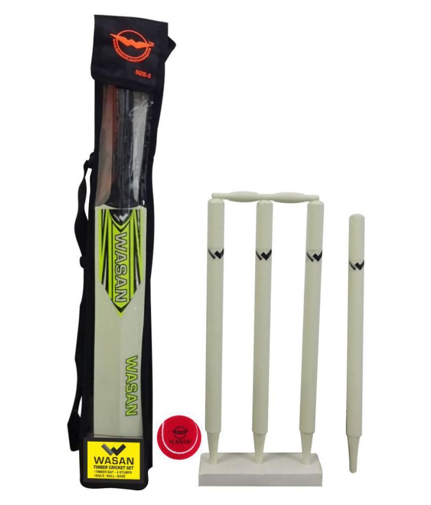 kids cricket set